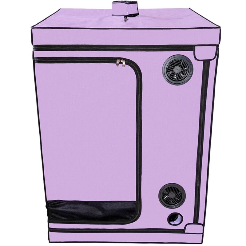 SECRET DOME - KINK CLUB CABINA SCANDALE MORADO