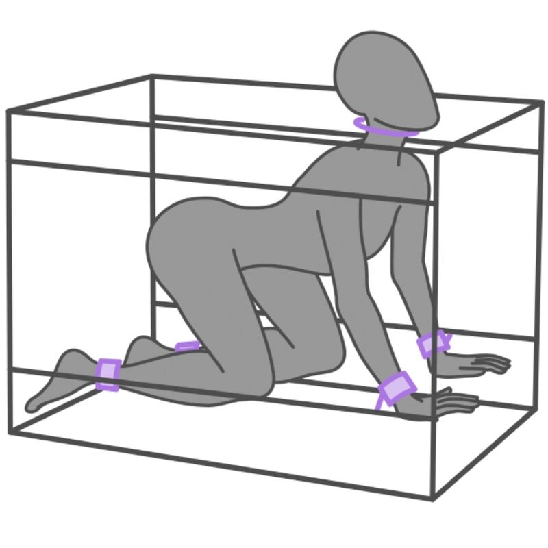 SECRET DOME - KINK CLUB LA NICHE CABINA  MORADO