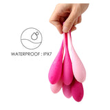 Gradiente Leslie — Set Kegel de Tonificación Progresiva