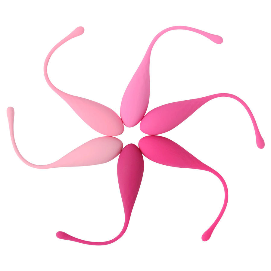 Gradiente Leslie — Set Kegel de Tonificación Progresiva