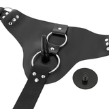 HARNESS ATTRACTION - ARNÉS  TAYLOR DELUXE 18 CM -O- 4.5 CM